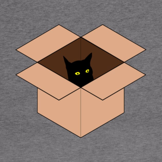 Cat in the Box by Nahlaborne